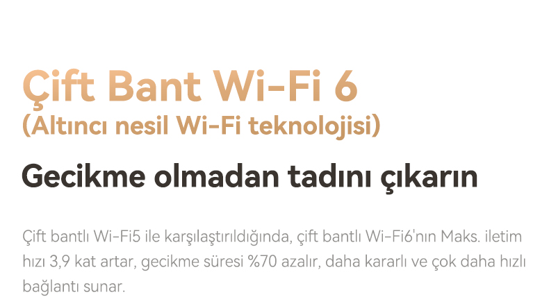 Wanbo x5 wifi6